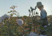 Jardines Dior